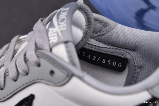 Rep EP Air Low 553668-998 1 DIOR Jordan X 553668-998 0103